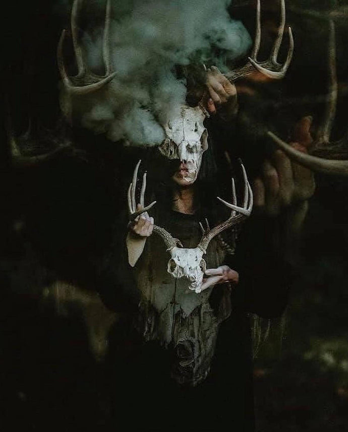 The Thinning of the Veil: Autumn Ritual Supplies to Carry You Through the Dark Half of the Year