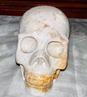 White Coral Fossil Skull